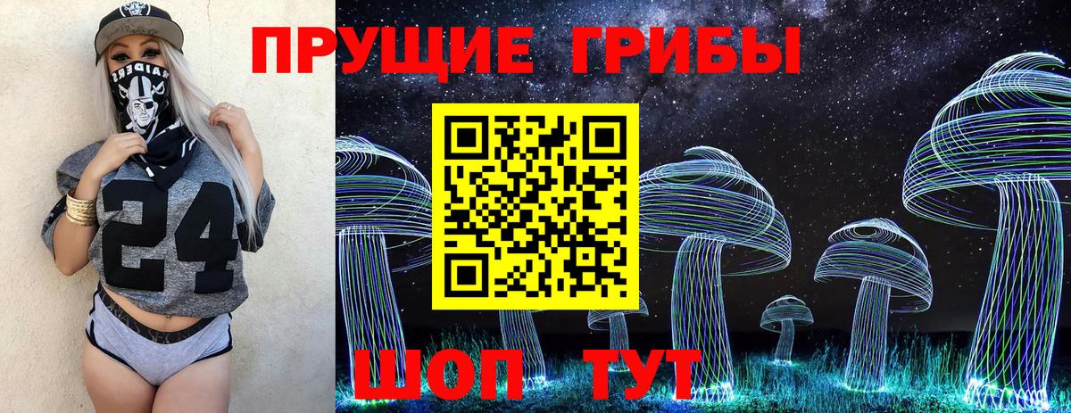 Галлюциногенные грибы Cubensis  Галлюциногенные грибы Cubensis  Волхов  Вход с VPN 
