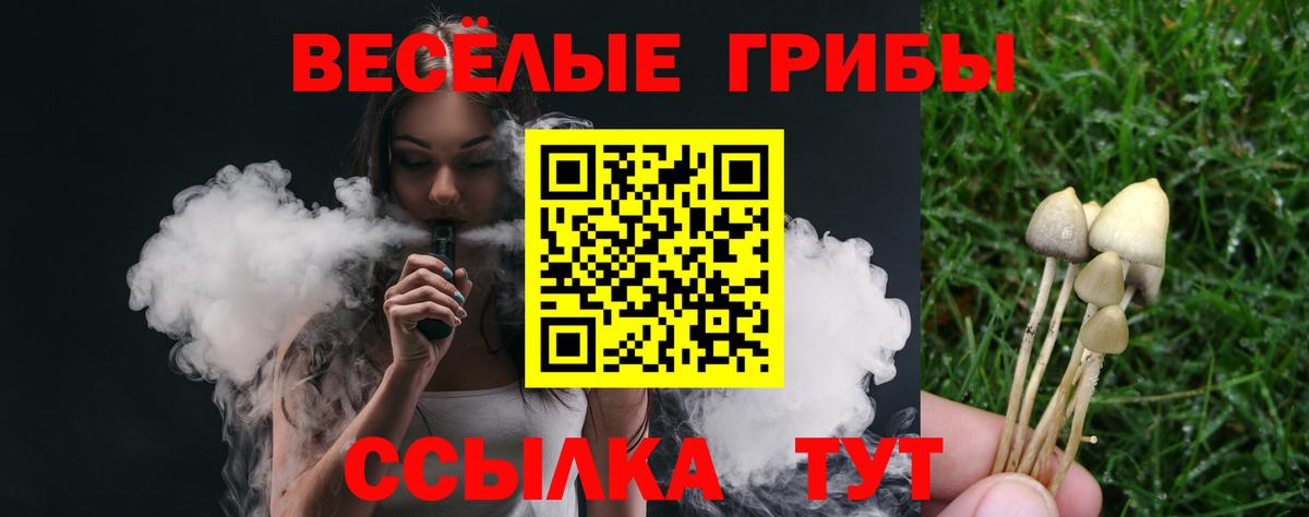 Галлюциногенные грибы Cubensis Волхов